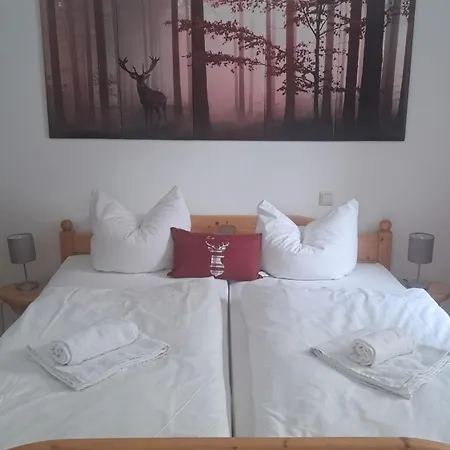 Hotel Garni Am Viehmarkt Ummerstadt